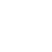 icone-X
